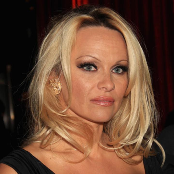 Click to enlarge image pamela-anderson claire.jpg