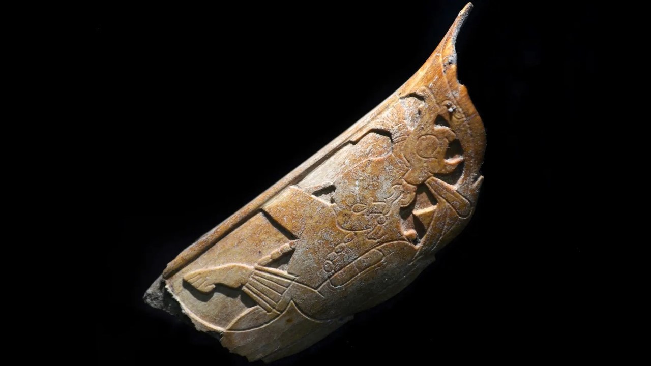 العثور على زينة أنف من عظم بشري تعود لحضارة المايا!
