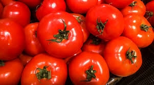 الطماطم لتحسين الخصوبة.. دراسة تكشف العلاقة الصحية